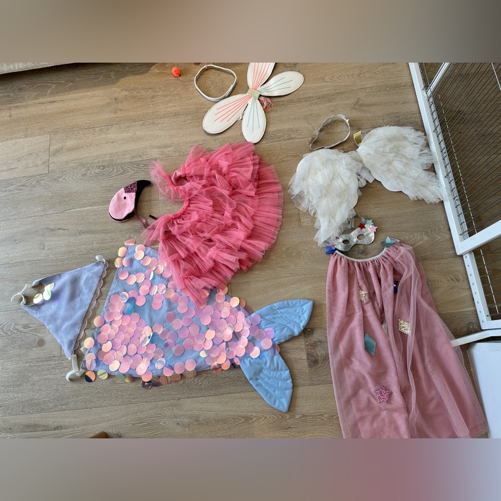 Set of 5 meri meri costumes